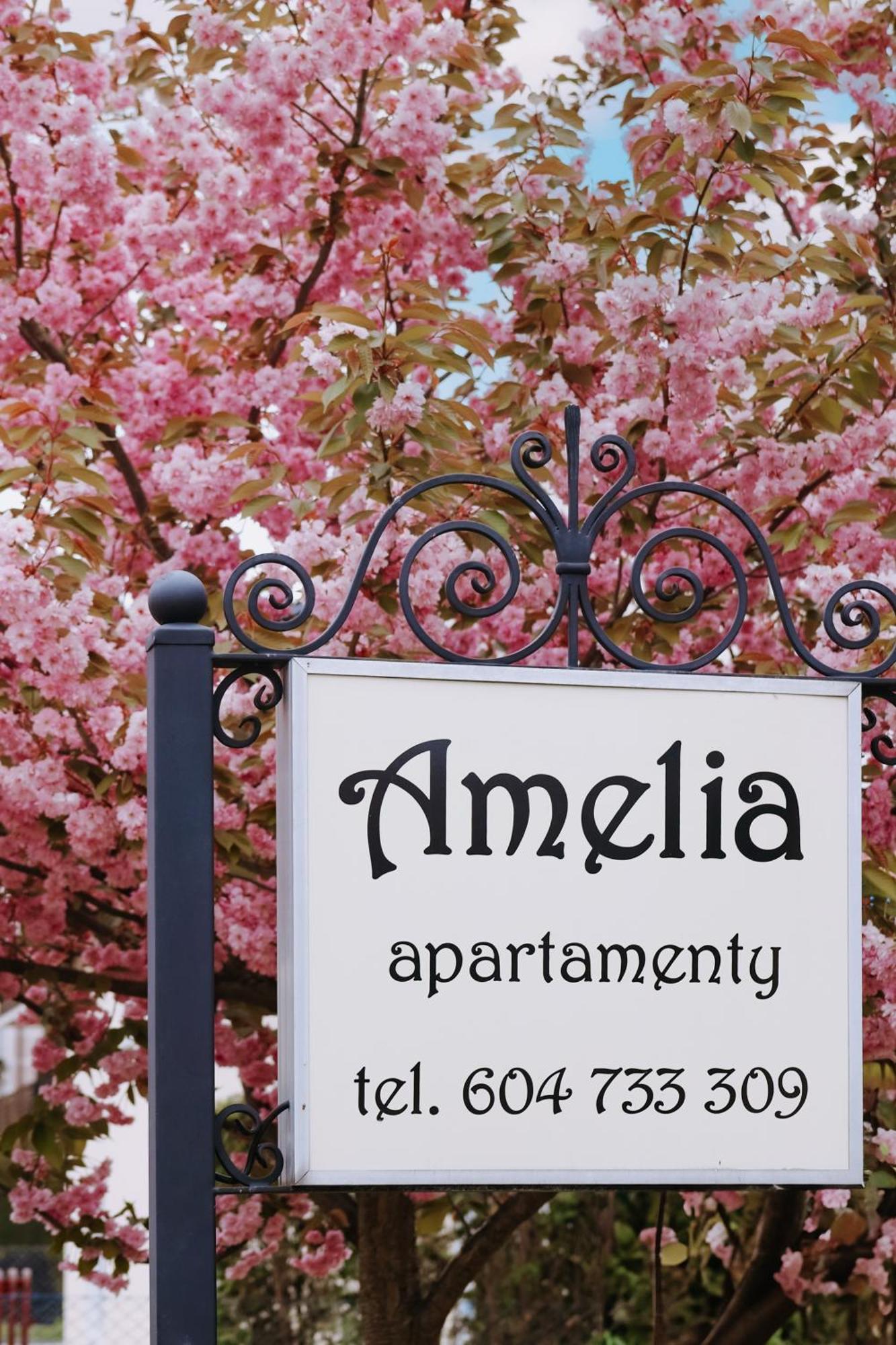 Amelia Apartamenty - Sala Zabaw, 2 Sypialnie, Garaz Podziemny วาดีสวาโวโว ภายนอก รูปภาพ