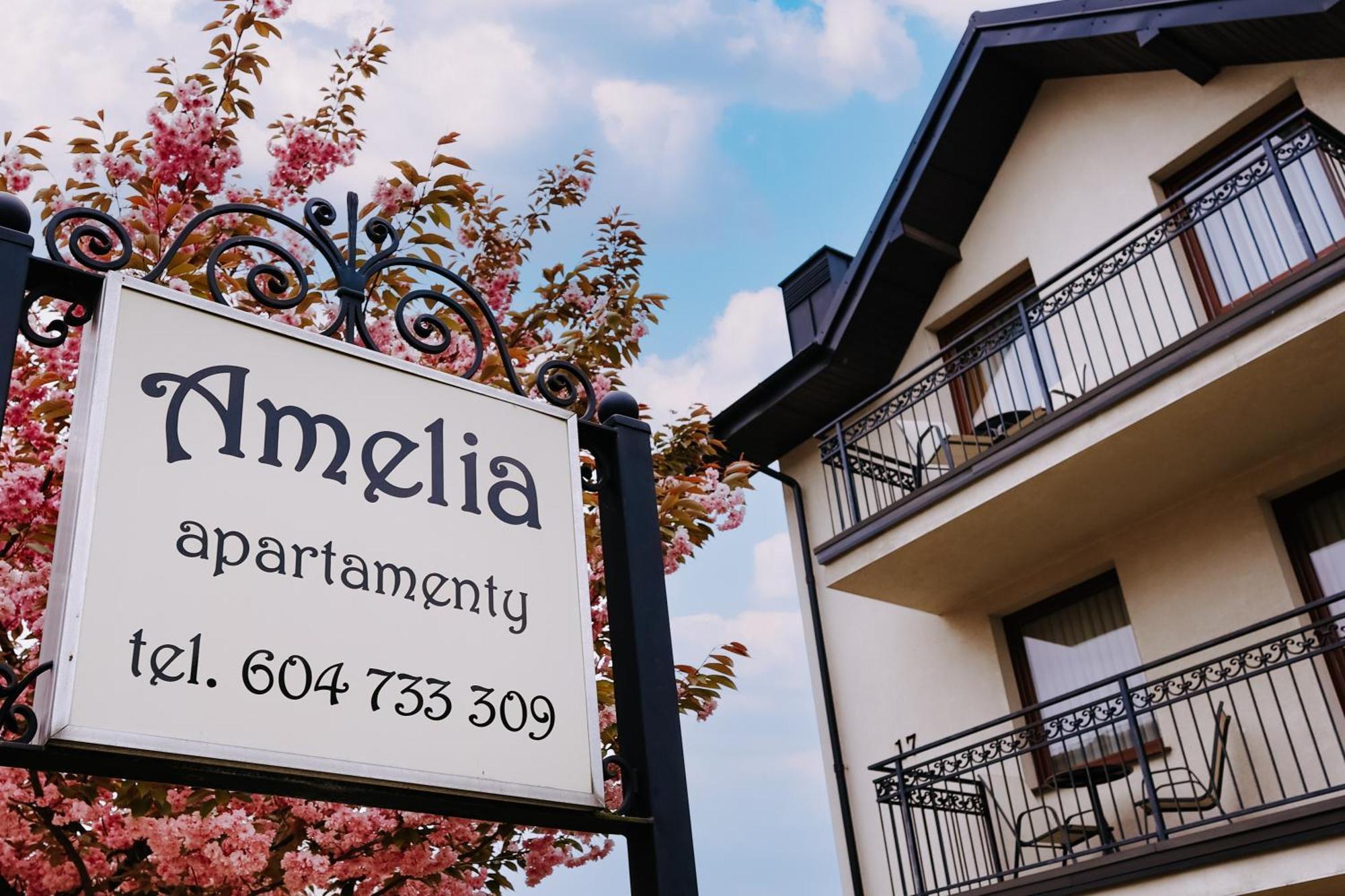 Amelia Apartamenty - Sala Zabaw, 2 Sypialnie, Garaz Podziemny วาดีสวาโวโว ภายนอก รูปภาพ